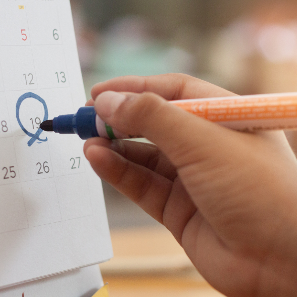 Strategic Consultation with Avanti Centrae